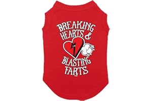Tcombo Breaking Hearts & Blastings Farts Dog Shirt (Red, Large)
