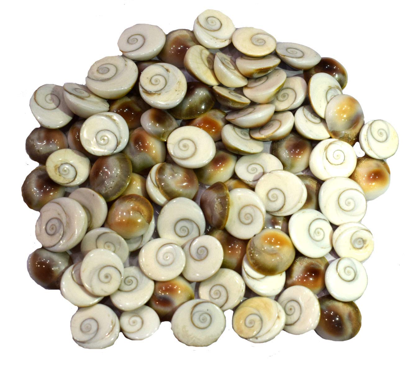 Siddhratan 21 Pieces of Gomti Chakra For wealth health success Worship Wicca Magic