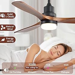 CACI Mall 52 inch Ceiling Fan with Lights Remote