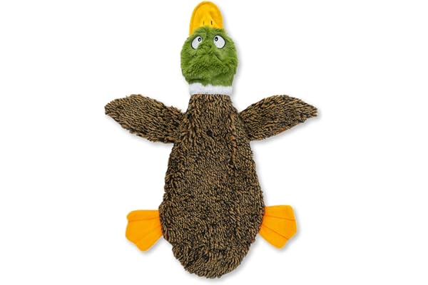 Best Pet Supplies 2-in-1 Fun Skin Stuffless Dog Squeak Toy, Medium, Wild Duck
