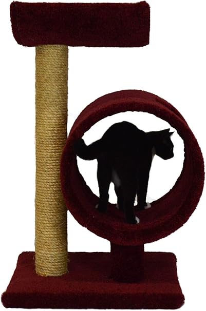 molly and friends cat scratching post