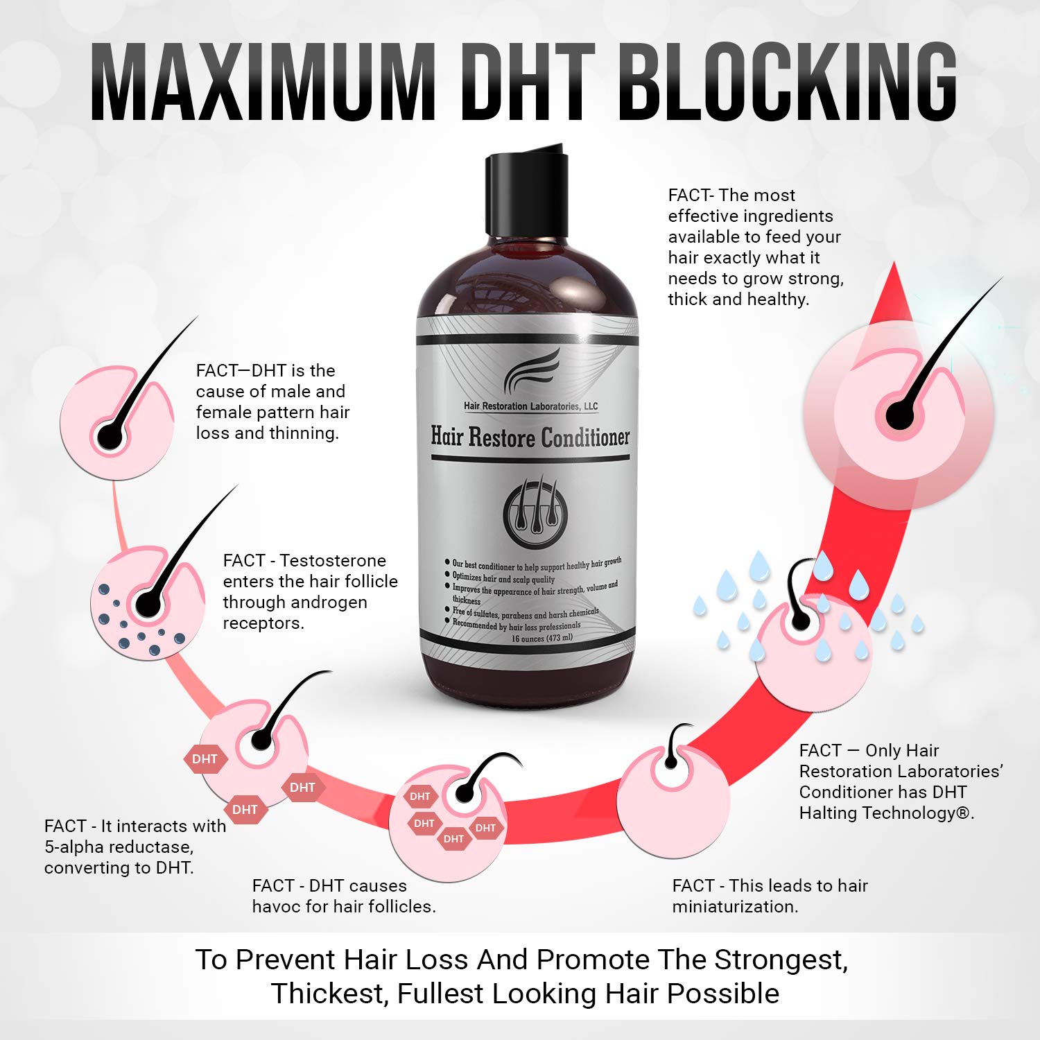Hair Restoration Laboratories Hair Restore Conditioner, DHT Blocker for Hair Loss, Sulfate-Free for Color Treated Hair, Effective Daily Use Hair Thickening Thinning Hair for Men and Women, 16 oz: Beauty
