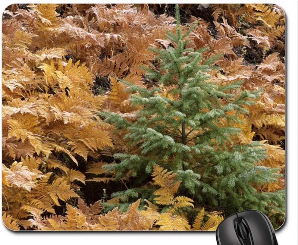Hidden Fir Tree Mouse Pad, Mousepad (Forests Mouse Pad)