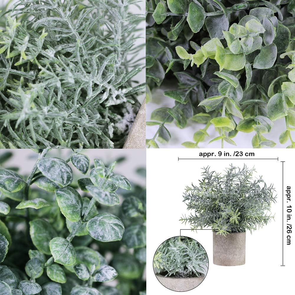Winlyn Set of 3 Mini Potted Artificial Eucalyptus Plants Plastic Fake Green Rosemary Plant for Home Decor Office Desk Shower Room Decoration -