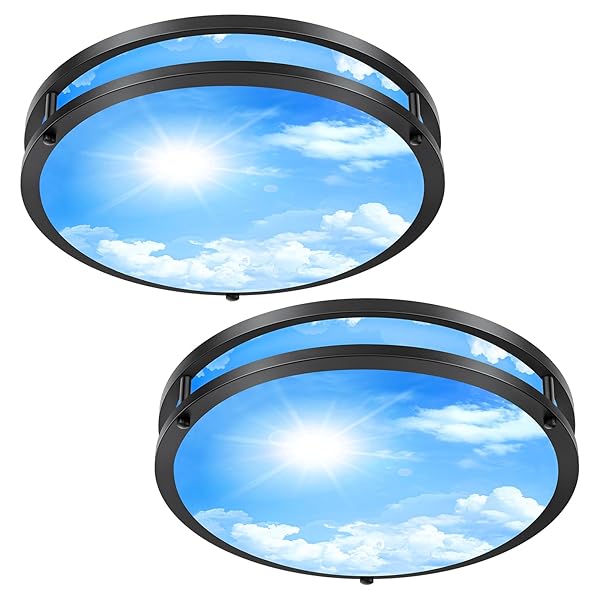 OYKYOHEI 2 PACK 24W LED CEILING LIGHTS FOR OFFICE HALLWAY BEDROOM, 12 INCH DIMMABLE FLUSH MOUNT LED CEILING LIGHT FIXTURE, 6500K/5000K/4000K/3500K/3000K ADJUSTED MODERN LAMPS (CLOUD BLUE SKY COVER)