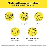 RESCUE Bach Flower Remedies Rescue Remedy Pastilles Black Currant 50 Grams view 4