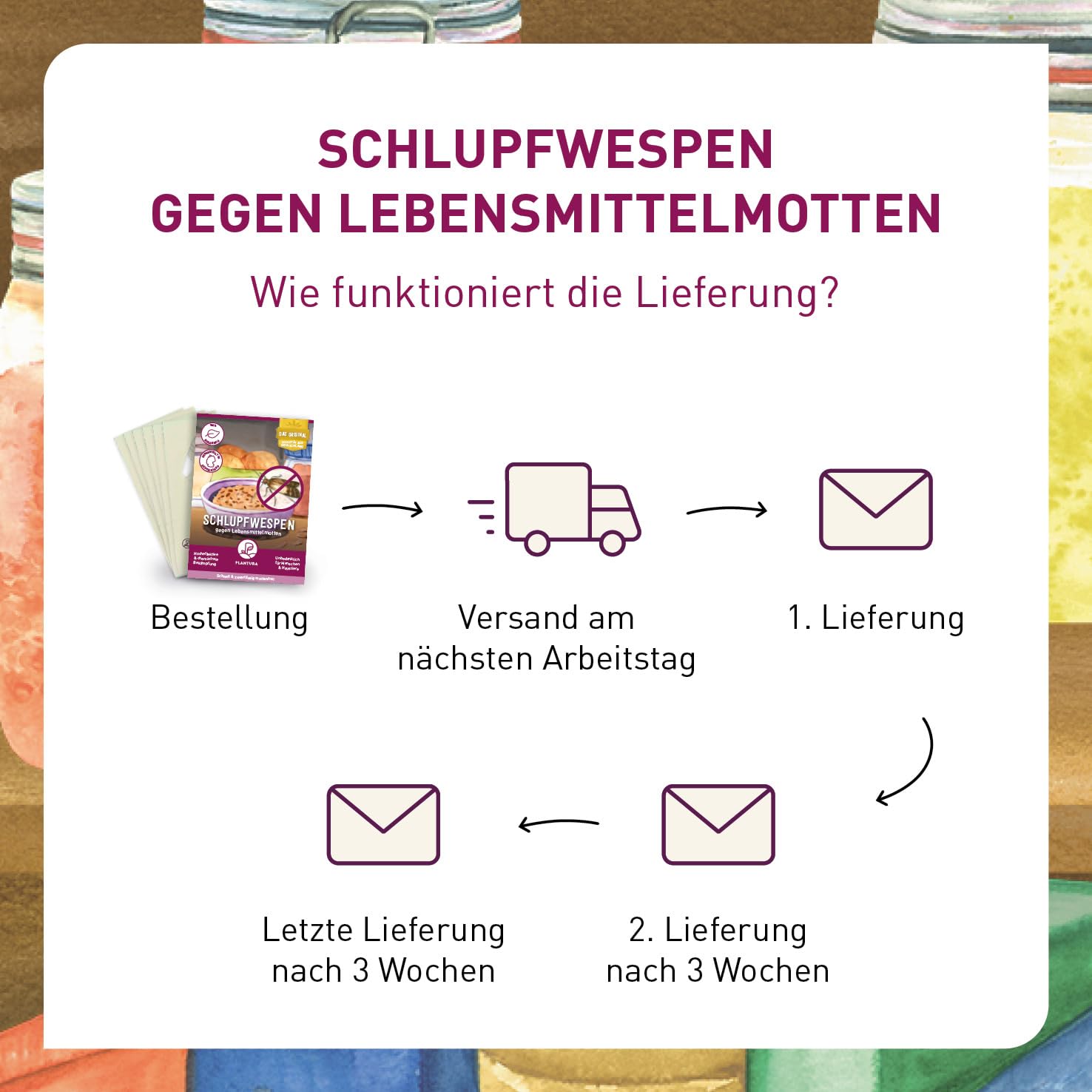 Plantura Schlupfwespen gegen Lebensmittelmotten, 9 Karten 6