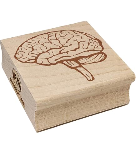 Amazon.com: P27 Human Vintage Anatomy Brain Rubber Stamp : Arts