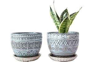 Gepege Ceramic Planter Pots for Indoor Plants, 5.5 Inch Flower Orchid Pot with Drainage Holes and Saucers - Set of 2