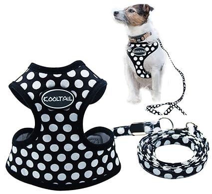 Puppy harness india Clearance