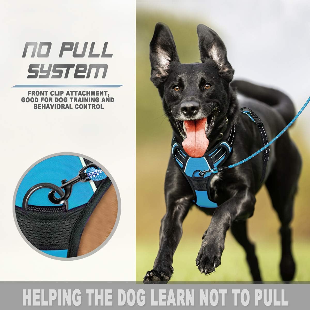 BARKBAY No Pull Dog Harness Front Clip Heavy Duty Reflective Easy Control Handle for Large Dog Walking(Blue,L) - Image 4