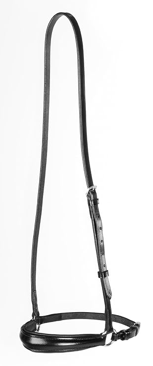 USG Hannoveranisches Reithalfter