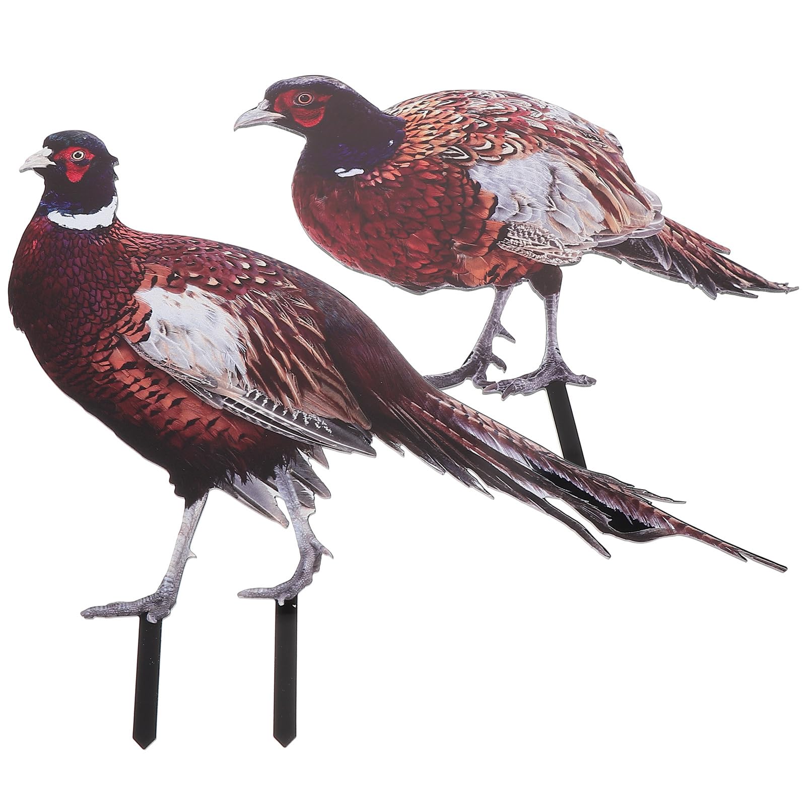 Yardwe 2pcs Decor Ornament Animal Chic Backyard Garden Sculptures for Landscape Chicken Ornaments Sculpture Acrylic Courtyard Statues Floor Stakes Lawn Patio Outdoor Pathway Sign Lifelike