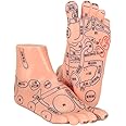 Foot Acupuncture Model, Human Feet Acupoint Teaching Aids Reflexology Pressure Point Massage Tool Reflex Zone Chinese Language Tcm for Educational Mannequin Classroom Research Display School Supplies