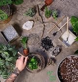 Root box XL Terrarium Plant Kit in scented giftbox Succulents Bonsai view 3