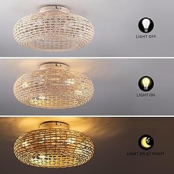 Alaruder Boho Caged Ceiling Fans with Lights Flush