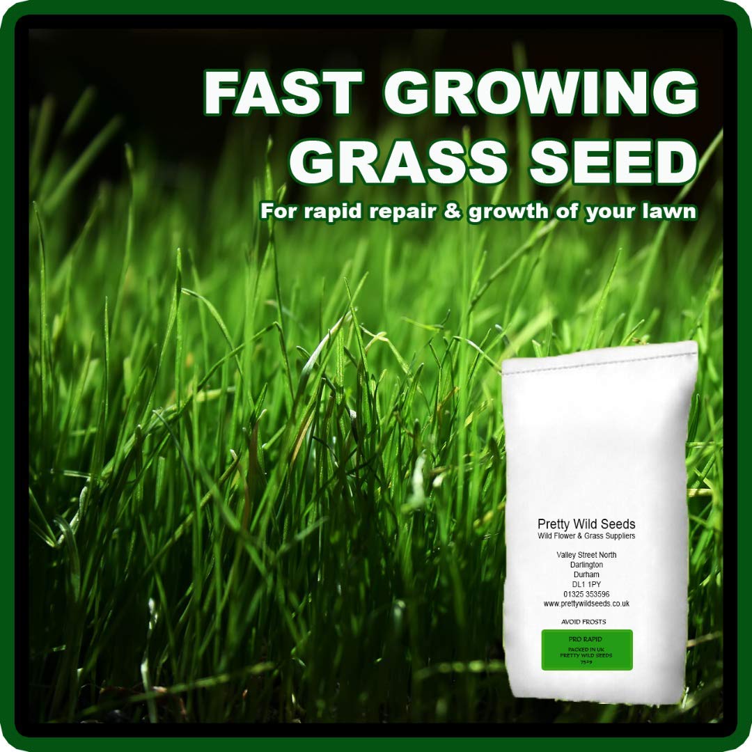 Fast Growing Rapid Lawn Recovery Grass Seed Amazing Quick Repair Pets Dogs by Pretty Wild Seeds (1kg)