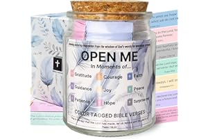 GIFTSFARM Bible Verse Jar, Christian Gifts for Women Men, Bible Verses for Emotions and Feelings, Daily Scripture Prayer Hope Jar, Bible Journaling Kit