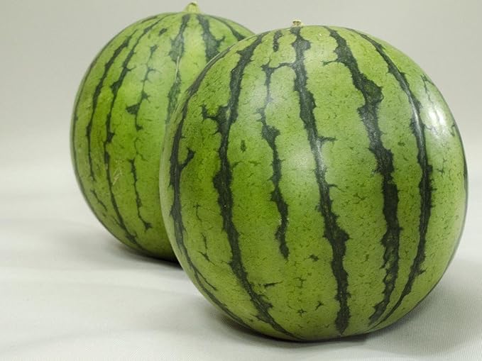 Amazon フルーツなかやま 小玉西瓜 ２個入 幅11 以上 高さ12 以上 糖度9度以上 フルーツなかやま すいか 通販