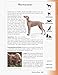 ASPCA Complete Guide to Dogs (Aspc Complete Guide to)