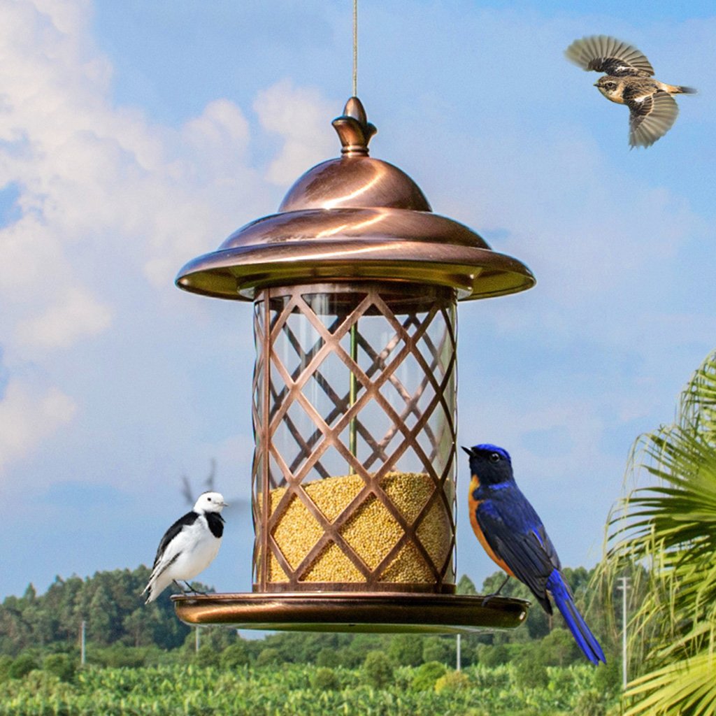 Amazon Com Bird Feeder Classic Tube Hanging Feeders For Finches