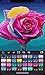 Cross Stitch Coloring by Number 2018