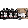 Klotz 20W-40 Synthetic Oil Change Kit for Indian™ Thunderstroke V-Twin Motorcycle (6 Quarts), 1 Filter, 2 Washers – KH-123