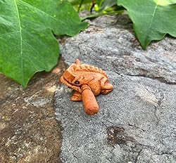 Classic Handmade Percussion Instruments Wooden Frog