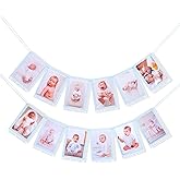 Newborn 1 To 12 Months Milestone Decorations - Simple Blue Monthly Banner, First Year Photos Hanging Banner, Boys One Birthday Decor (BLUE)