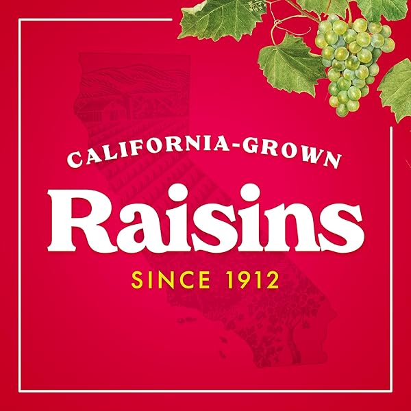 SUN-MAID VANILLA YOGURT COATED RAISINS – (6 PACK) 1 OZ SNACK-SIZE BOX – YOGURT COVERED DRIED FRUIT FOR LUNCHES AND BACK TO SCHOOL SNACKS