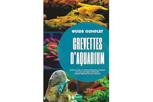 Crevettes d'aquarium: Focus sur la Neocaridina Davidi et les autres espèces d'aquarium d'eau douce - Aquarium et équipements,