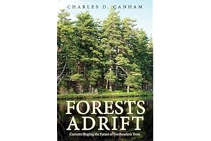 Forests Adrift: Currents Shaping the Future of Northeastern Trees