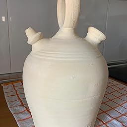 Set planta y botijo Dispensador de agua H2O, 5 lts Aprox. Sistema ...