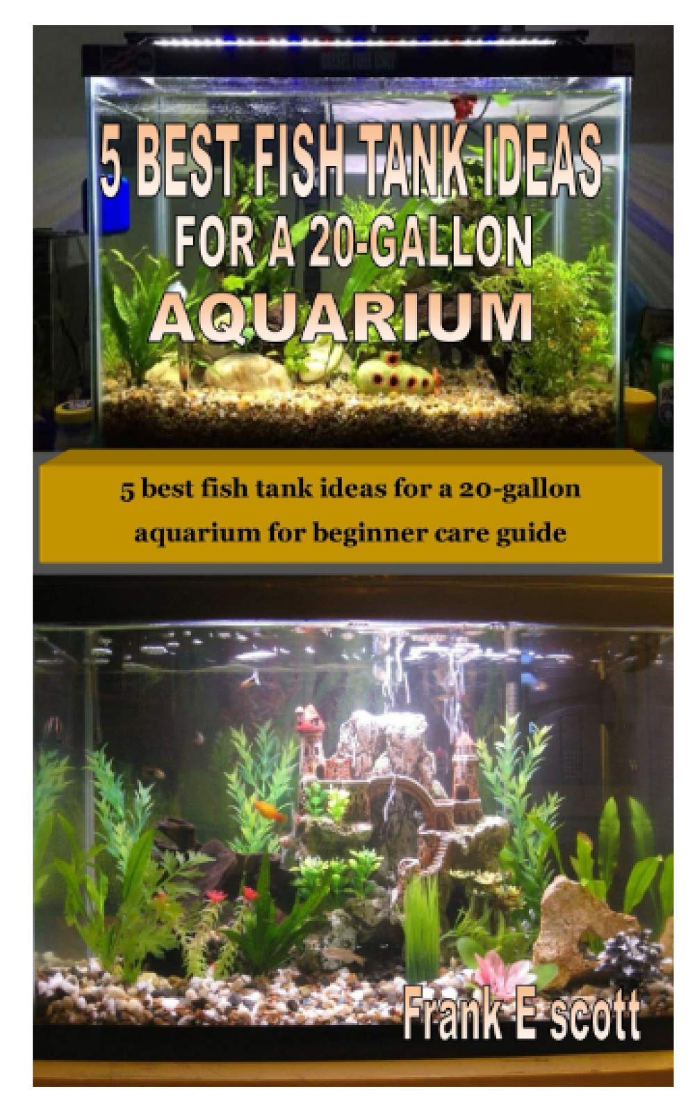 beginner fish tank