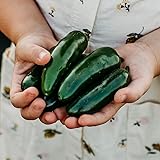 Nadapeno Jalapeno Pepper - 25 Seeds - Heatless