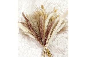 AINIYOU Natural Dried Pampas Grass, 60Pcs Pampas Grass Decor, Pompous Reed Grass Plants Boho Decor Wedding Decorations Boho Pampas Grass Flower Arrangements Home Decor