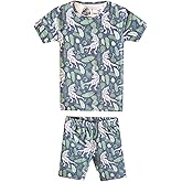 Copper Pearl Two Piece Short Sleeve Toddler Pajamas PJ Sets for Boys and Girls - Adorable Pattern Summer Pajamas Shorts to Keep Cool While Sleeping, Size 12 Months to 5T - Jurassic Park