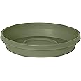 Bloem Terra Plant Saucer Tray for Planters 6-8" Living Green