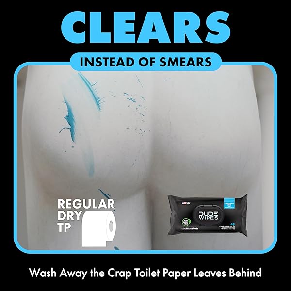DUDE WIPES – FLUSHABLE WIPES – 2 PACK, 48 WIPES – UNSCENTED EXTRA-LARGE ADULT WET WIPES – VITAMIN-E & ALOE FOR AT-HOME USE – SEPTIC AND SEWER SAFE