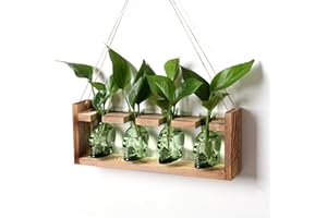 CYZGLASS Plant Propagation Stations Halloween Skull Plant Terrarium Kit Glass Vases Gift for Father Air Planter Home Office Decor