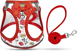 SALFSE Cat Harness and Leash Escape Proof for Walking, Adjustable Soft Kitten Harness with Reflective Straps Step in Cat Vest Harness for Small Kitten and XS Dogs (Red, XXS-Chest(8.7"-10.2"))