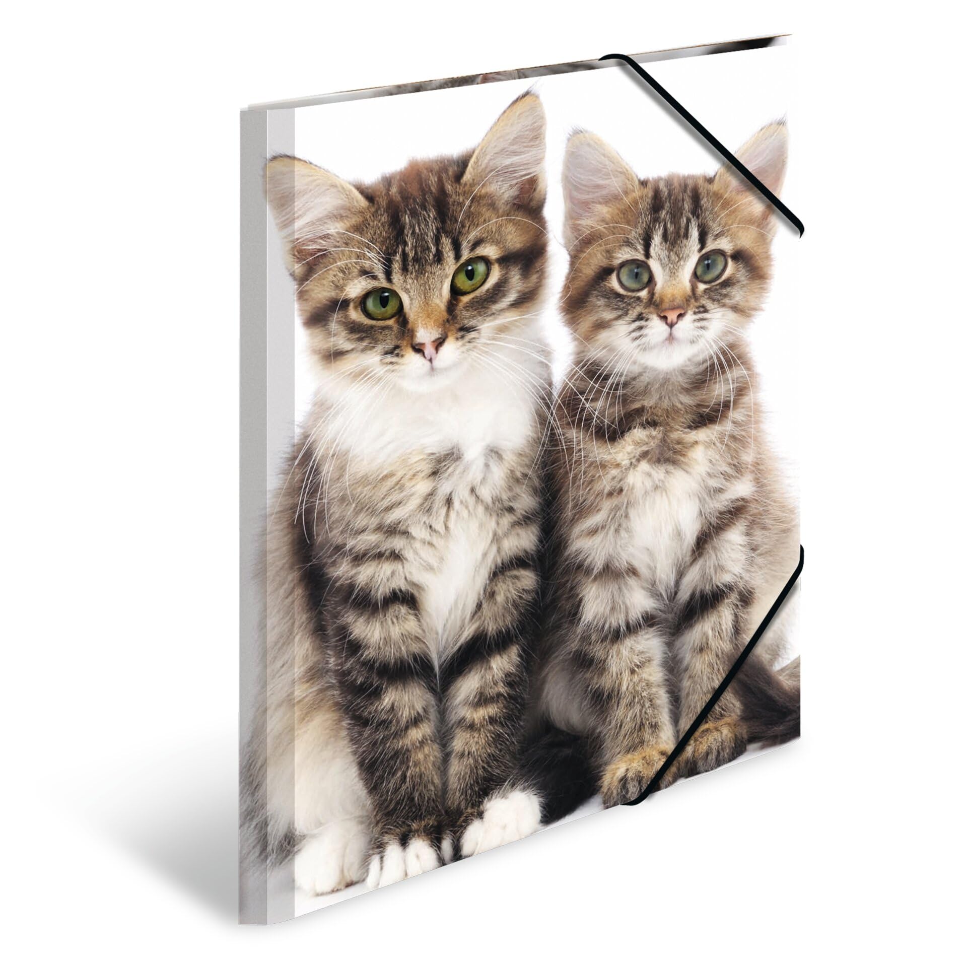 HERMA Elastic Folder Animals with Cats Motif, A3, Sturdy Plastic, with Inner Print, 1 Span Folder