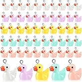 Hicarer 60 Pieces Mini Resin Duck Tiny Duck Miniature Bulk Colorful Charms Jewelry Making for DIY Earring Necklace Keychains Making Decors