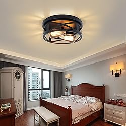 Jasopaco 2-Light Flush Mount Ceiling Light Fixtures