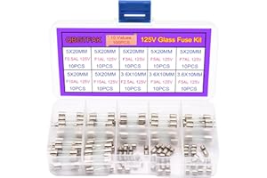 QBGTFAK 10 Values 100 pcs Christmas Light fuses 5x20mm Fuse 125V 0.5A, 1A, 3A, 5A, 7A, 10A, 15A and 3.6x10mm Mini Fuse 125V 2