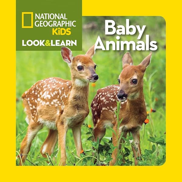National Geographic Kids Look & Learn: Farm Animals: National