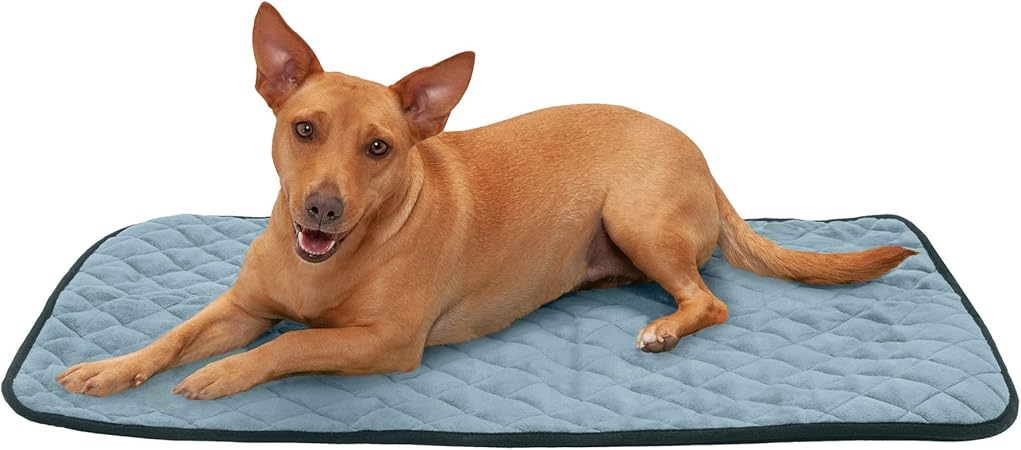 diy self warming pet bed