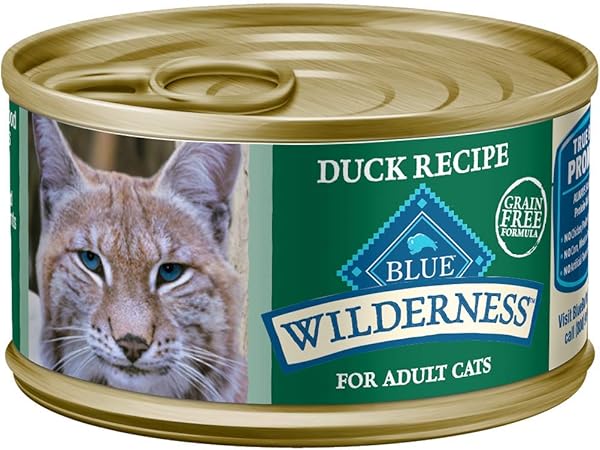 high protein cat food wet