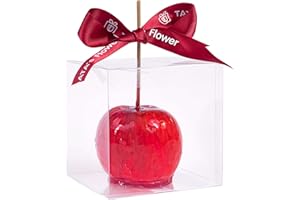 HAOHAN Clear Candy Apple Boxes with Hole 4"x 4"x 4" Transparent Favor Boxes Set of 20 Food-Grade Treat Box for Caramel Apples Cake Pops Cookies Chocolates (Clear, 20)
