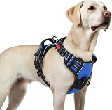 rabbitgoo Dog Harness Large No-Pull Front Back Clips Reflective Blue L